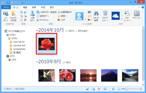フォトギャラリーを起動し、一覧から色を調整したい写真をダブルクリックします
