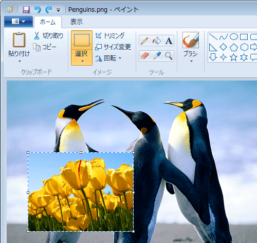 選択した範囲に、指定した別の画像が挿入できたことを確認してください