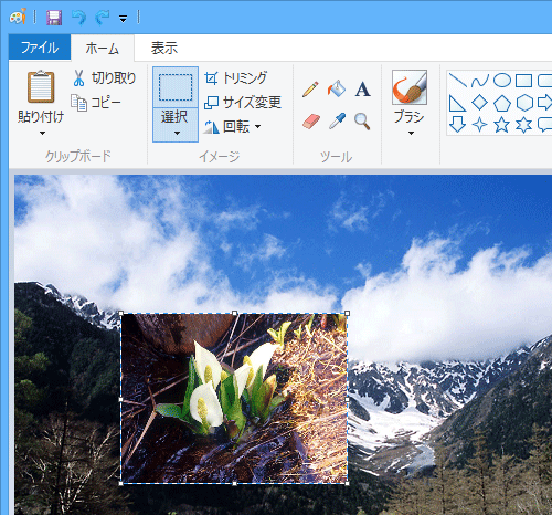 選択した範囲に、指定した別の画像が挿入できたことを確認してください