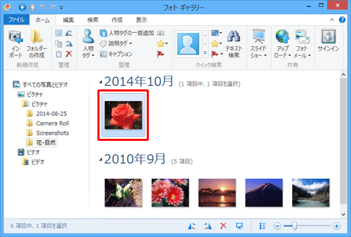 フォトギャラリーを起動し、タグを付けたい写真をクリックします