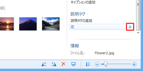 タグを削除するには、タグにマウスポインターを合わせて、右側に表示される「×」（削除）をクリックします