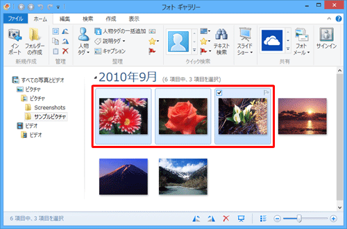 フォトギャラリーを起動し、タグを付けたい写真にチェックを入れて選択します