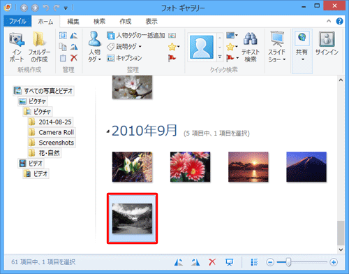 選択したカラー写真が白黒写真に変換されたことを確認してください