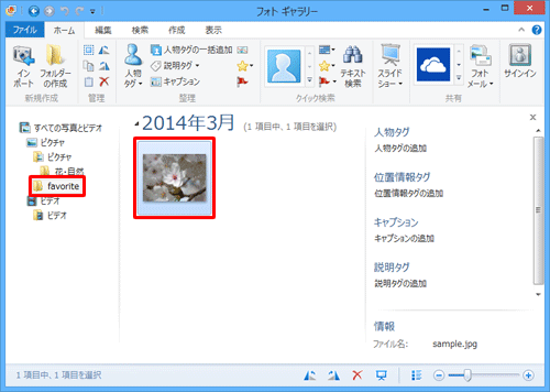 追加したフォルダの画像と映像全てがフォトギャラリーに表示されたことを確認してください