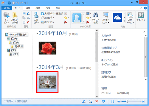 フォトギャラリーの一覧に、ドラッグしたファイルが追加されたことを確認してください