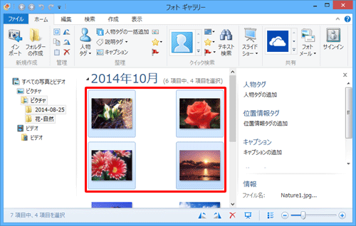 フォトギャラリーを起動して、写真の一覧からCDに書き込みたい写真をクリックします