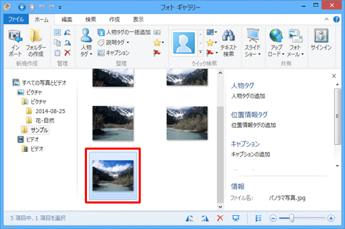 写真一覧に、作成したパノラマ写真が表示されていることを確認してください