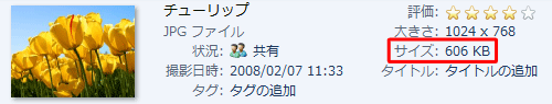 変更前のファイルサイズ