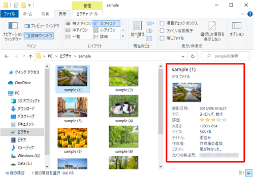 エクスプローラーの詳細ウィンドウを表示し、編集した内容が反映されていることを確認してください