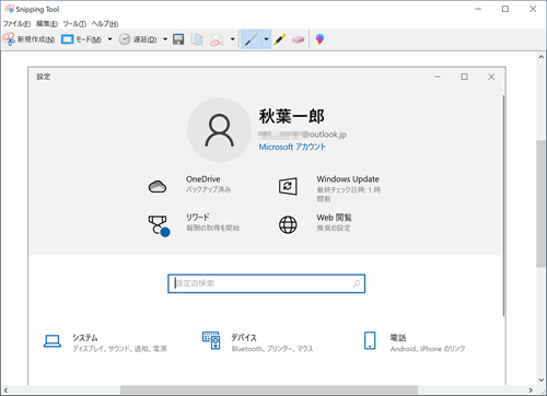 Snipping Toolのウィンドウが起動し、選択した画像が表示されます