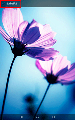 画像に表示された画像を左右に動かして、表示したい範囲を設定したら、画面右上の「OK」をタップします