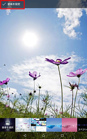 画像を左右に動かして、表示したい範囲を設定したら、画面左上の「壁紙を設定」をタップします