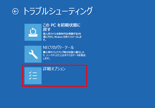 「詳細オプション」をクリックします