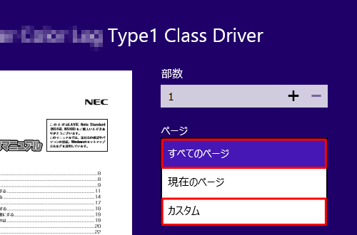 「ページ」ボックスをクリックし、「カスタム」をクリックします