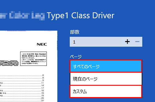 「ページ」ボックスをクリックし、「カスタム」をクリックします