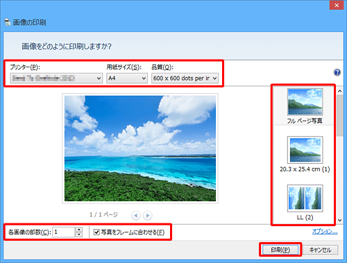 以下の各項目を必要に応じて設定し、「印刷」をクリックします