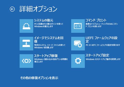 「詳細オプション」が表示されます