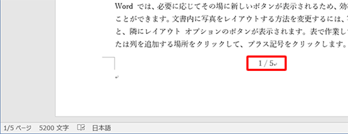 総ページ数入りページ番号の一例