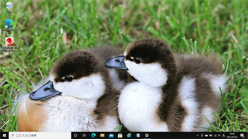 ページ幅に合わせる