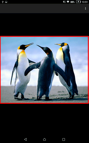 「ギャラリー」が起動し、画像が表示されます