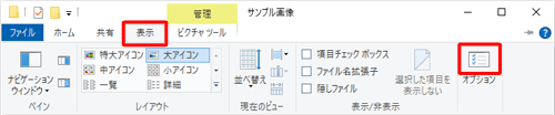 リボンから「表示」タブをクリックし、「オプション」のアイコンをクリックします