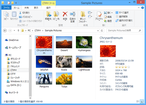 詳細ウィンドウが表示されるフォルダーを開きます
