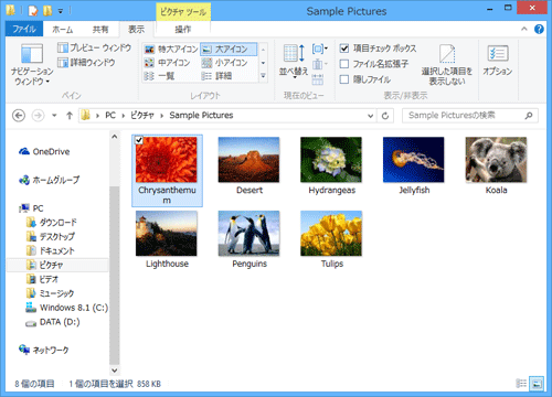 ファイルをクリックし、詳細ウィンドウが表示されないことを確認してください