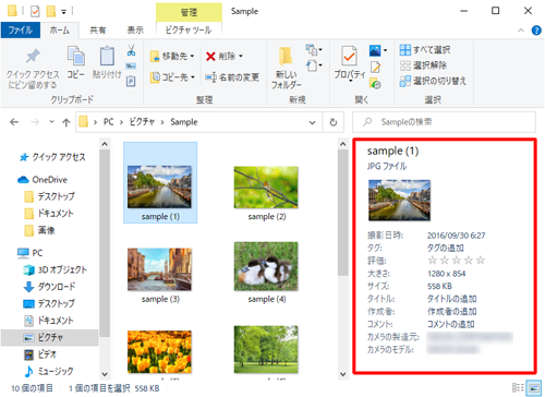 詳細ウィンドウ表示の状態（一例）