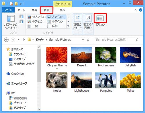 リボンから「表示」タブをクリックし、「オプション」をクリックします