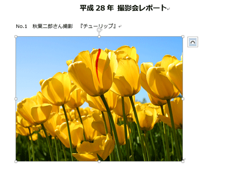 文書に写真が挿入されたことを確認してください