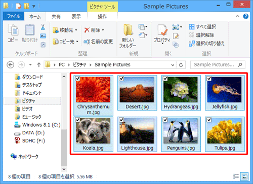 データが保存されているフォルダーを表示し、コピーするファイルを選択します