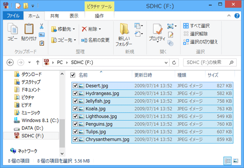 SDメモリカードにデータがコピーされたことを確認してください
