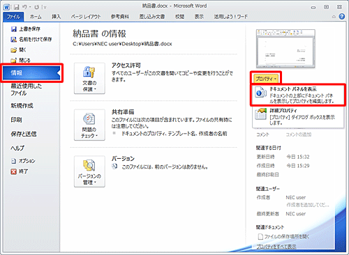「情報」をクリックし、「プロパティ」をクリックし、「ドキュメントパネルを表示」をクリックします