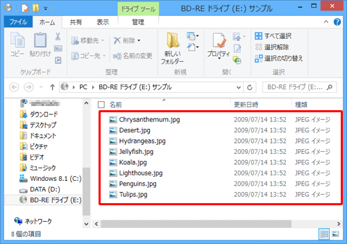 ディスクに保存されているデータが表示されます