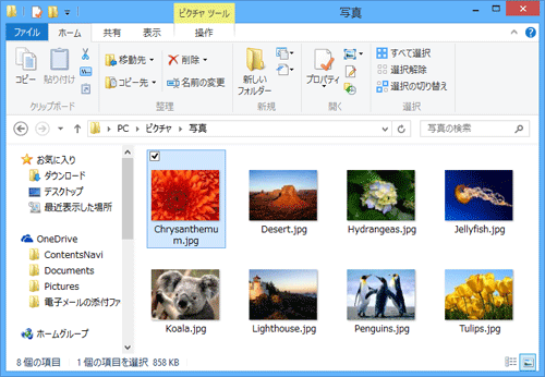 スライドショーで表示したい画像ファイルが保存されているフォルダーを表示します