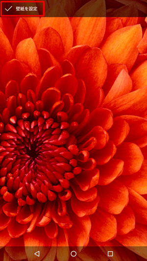 画像を左右に動かして、表示したい範囲を設定したら、画面左上の「壁紙を設定」をタップします