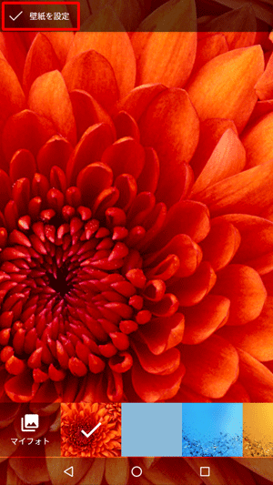 画像を左右に動かして、表示したい範囲を設定したら、画面左上の「壁紙を設定」をタップします