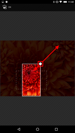 四隅の「●」をドラッグすることで、表示する範囲の大きさを変更することができます