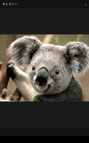 受信したファイルが表示されます