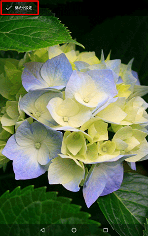 画像を左右に動かして、表示したい範囲を設定したら、画面左上の「壁紙を設定」をタップします