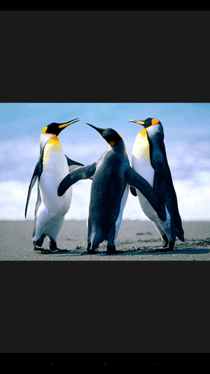 受信したファイルが表示されます