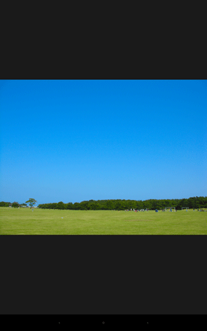 メールに添付されていた画像が、ギャラリーで表示されたことを確認してください