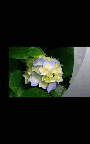 目的の動画ファイルをタップすると、再生画面に切り替わり、再生が開始されます