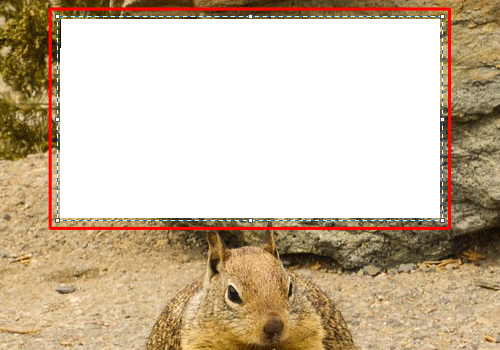 文字以外の背景部分が不透明な場合