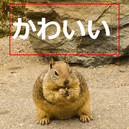 文字を入れる範囲をクリックし、文字を入力します