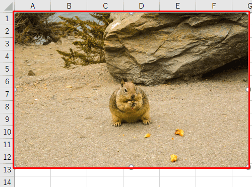 選択した画像がシートに挿入されたことを確認します