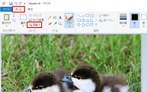 リボンから「ホーム」タブをクリックし、「イメージ」グループの「回転」をクリックします