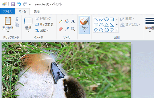 写真が選択した方向に回転したことを確認します