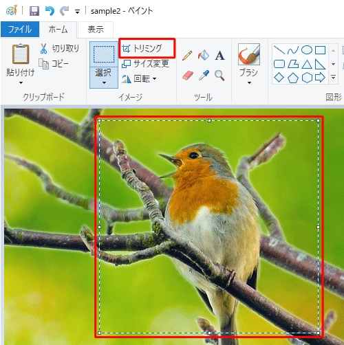 画像上でドラッグし、トリミングしたい範囲を選択して、リボンから「イメージ」グループの「トリミング」をクリックします