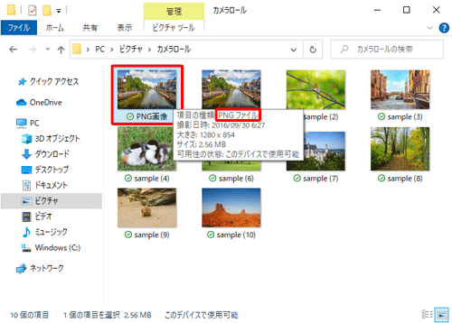選択した形式のファイルが、指定したフォルダーに新たに保存されていることを確認してください